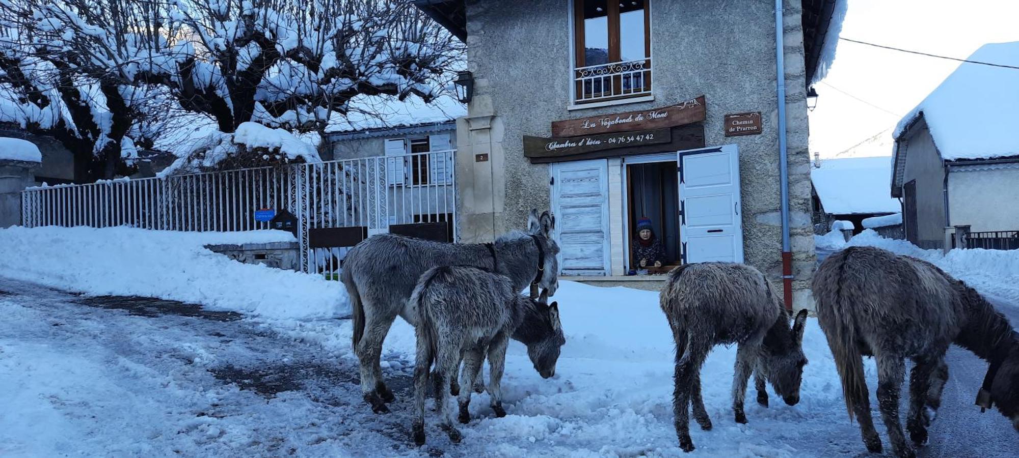 Les Vagabonds Du Mont Bed & Breakfast Chichilianne ภายนอก รูปภาพ